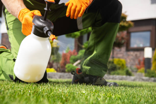 Best Commercial Pest Control Services  in Thatcher, AZ