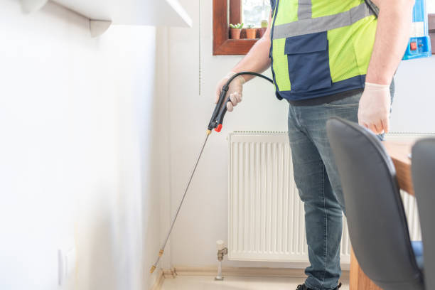 Best Pest Removal Services  in Thatcher, AZ