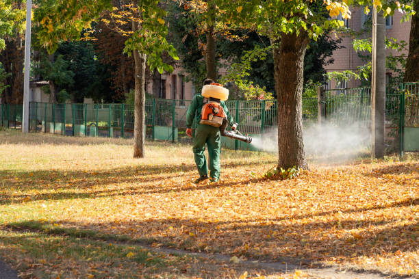 Best Pest Removal Services  in Thatcher, AZ